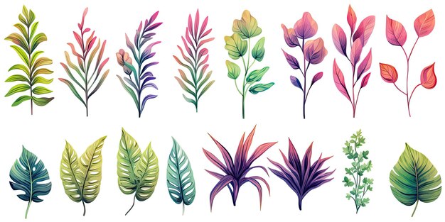Set de feuilles de plantes dans l'aquarelle style plantes jungle feuilles lumineuses et succulentes