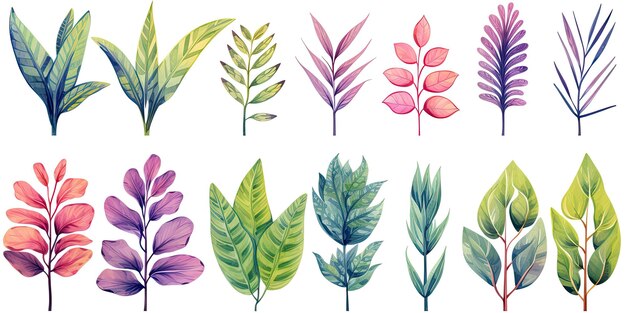 Set de feuilles de plantes dans l'aquarelle style plantes jungle feuilles lumineuses et succulentes