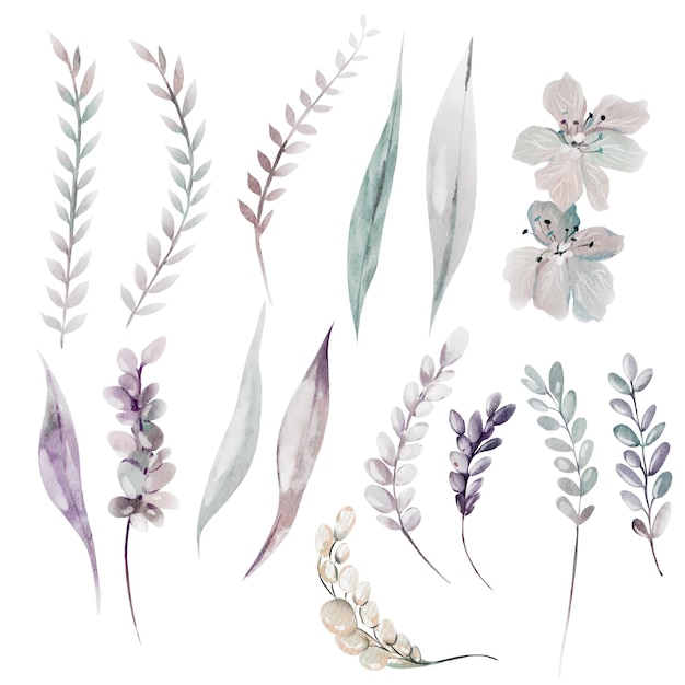 Set de fleurs à aquarelle avec des feuilles et des fleurs