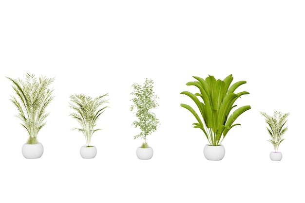 Set de fleurs tropicales en pot isolées sur un rendu 3D blanc