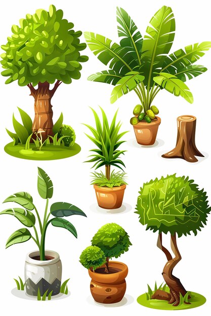 Set d'icônes vectorielles d'arbres de plantes en pot à fond blanc