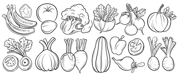 Photo set de légumes assortis dessinés à la main
