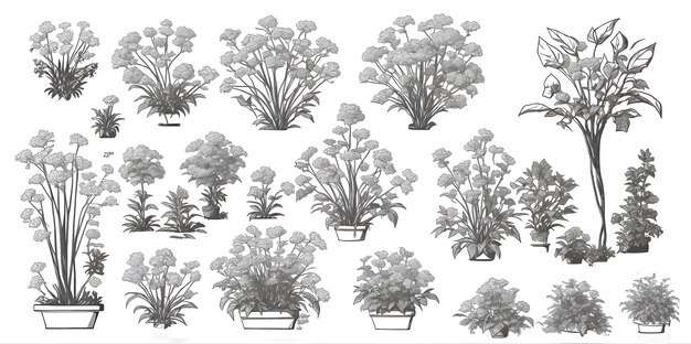 Set de plantes d'intérieur et de fleurs à l'arrière-plan en noir et blanc sur un fond blanc