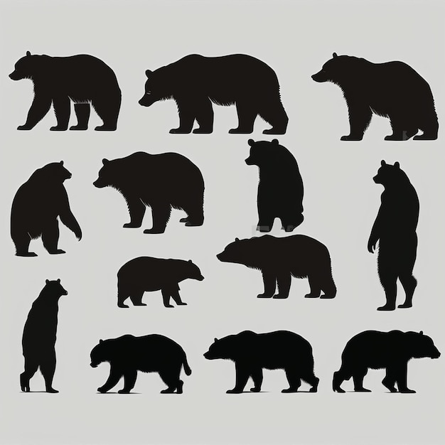 Set de silhouettes d'ours sur un fond blanc