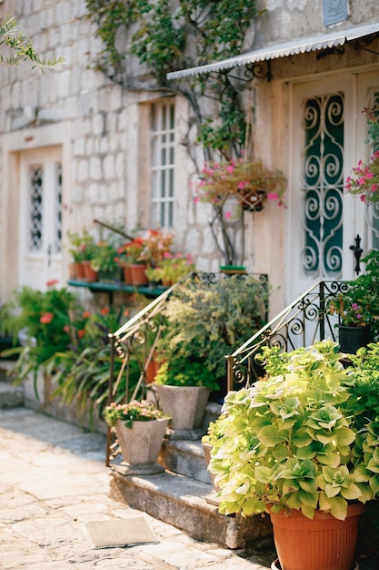 Seuil d'une vieille maison en pierre avec des fleurs en pots