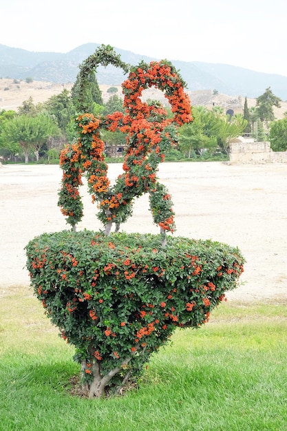 Photo seul arbre dans le parc turc