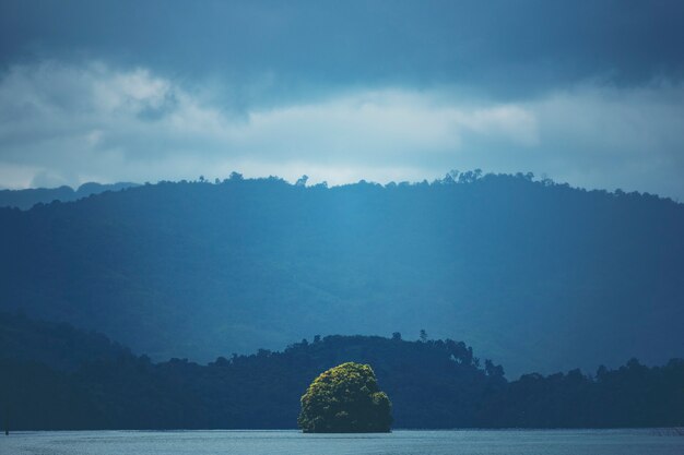 Seul arbre sur le lac