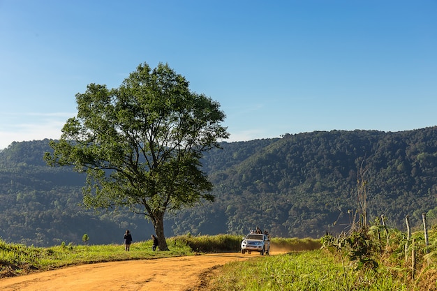 Seul arbre et une voiture en cours d&#39;exécution sur un chemin de terre en montagne