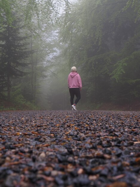 Photo seul sur la forêt avec brouillard