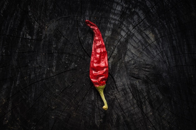 Seul Piment Rouge Sur Fond Noir