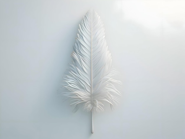 Une seule plume blanche d'oiseau isolée sur un fond blanc de haute qualité