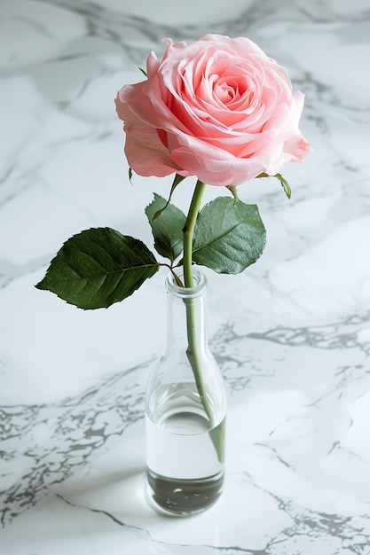Une seule rose rose dans un vase de verre sur fond de marbre