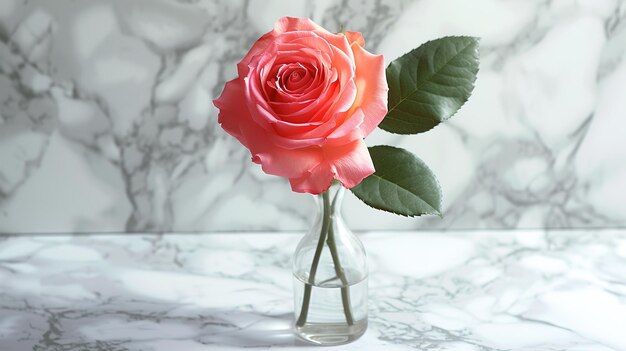 Une seule rose rose dans un vase de verre sur fond de marbre