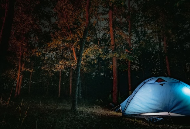 Seule tente debout en bois pour la nuit