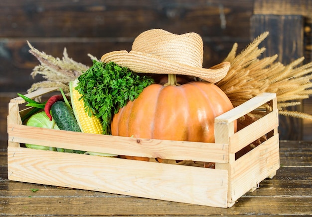 Photo seuls les meilleurs fruits et légumes aliments naturels biologiques halloween shopping sur le marché produit sain panier du festival de la récolte avec des fruits et légumes utiles riches en vitamines saisonnières de récolte d'automne