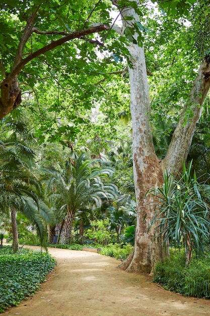 seville maria luisa park gardens espagne