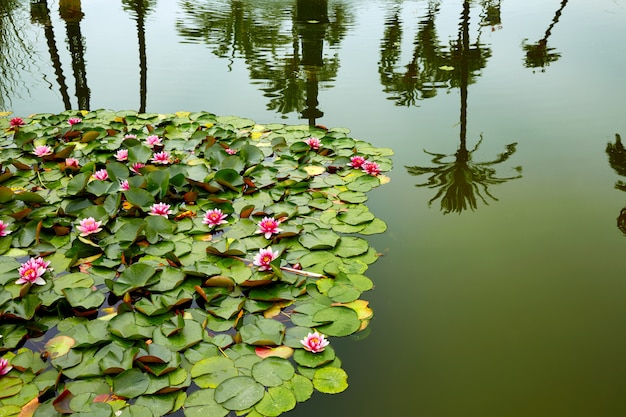 seville maria luisa park gardens espagne