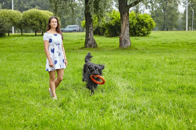 Shaggy Briard avec jouet dans ses dents marche dans un parc public avec une femme propriétaire à l'été.