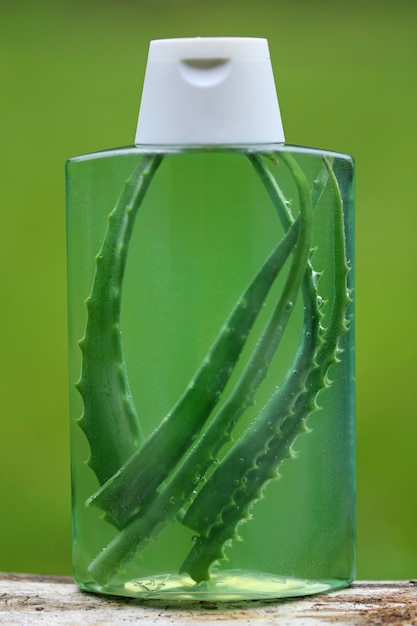 Shampooing bio à l'Aloe Vera. feuilles d'aloe vera dans une bouteille de shampoing transparent. concept de cosmétiques biologiques