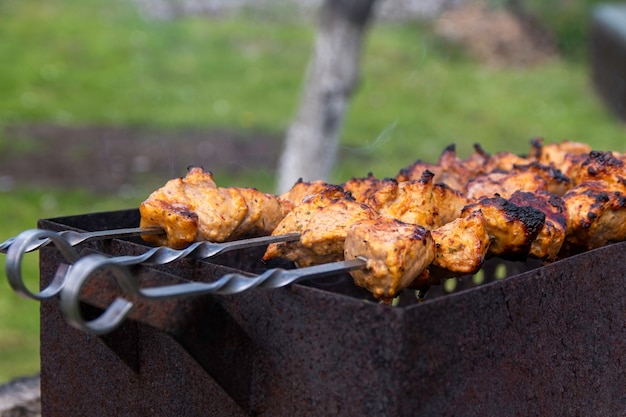 Le shaslik fait maison sur le feu ouvert Les brochettes de shish font frire sur le gril du barbecue