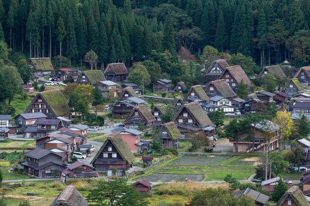 Shirakawa-go au Japon