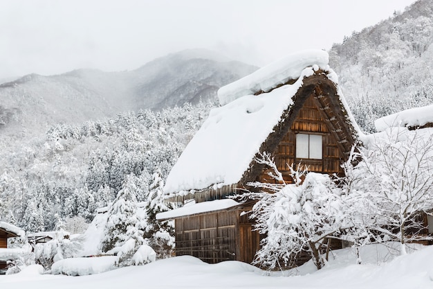 Shirakawa va