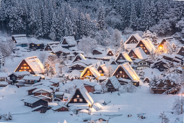 Shirakawago illumine