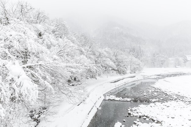 Shirakawago Japon Hiver