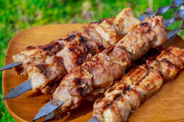 Shish Kebab Avec Le Mélange D'épices Sur La Viande De Barbecue