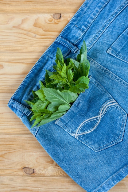 Short en jean bleu avec des feuilles vertes dans la poche sur un fond en bois. Photo de haute qualité.