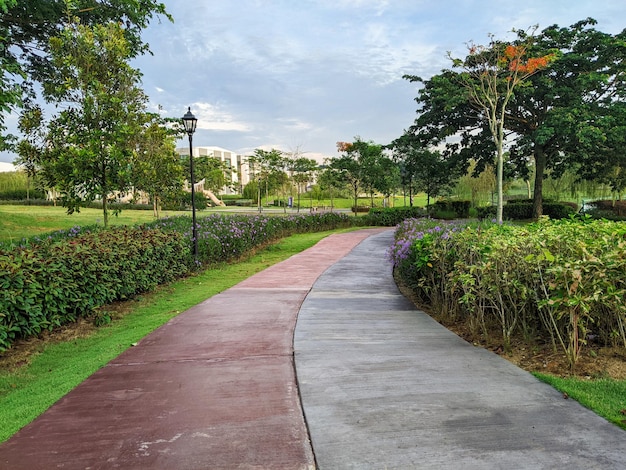 Si belle est la passerelle dans le parc de loisirs