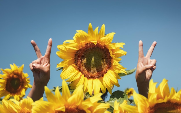 signe 2022 du doigt des femmes et des tournesols