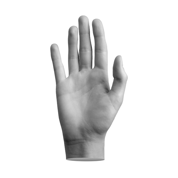 Le signe d'accueil de la paume de la main isolé sur un fond blanc