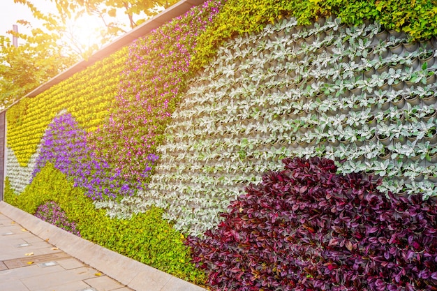 Signe frontière feuilles bannière nature rétro