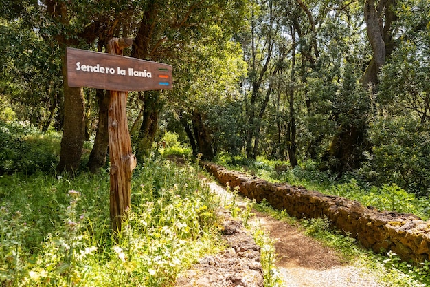 Signe d'identification du sentier de randonnée La Llania à El Hierro Canaries paysage verdoyant