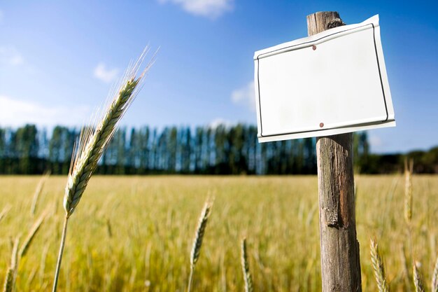 Photo signe d'information sur un poteau de bois sur le terrain contre le ciel