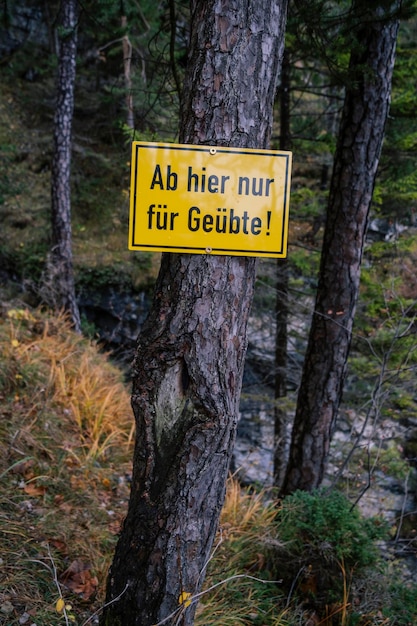 Photo signe d'information sur le tronc d'un arbre dans la forêt