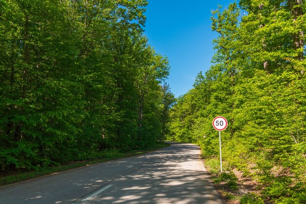 Signe de limitation de vitesse sur la route forestière