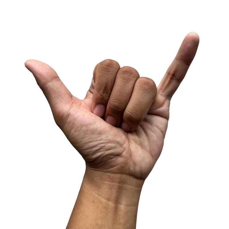 Photo le signe de la main de shaka