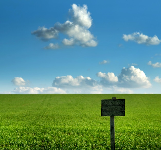 Signe de pointeur situé sur un fond de pré vert et de ciel bleu