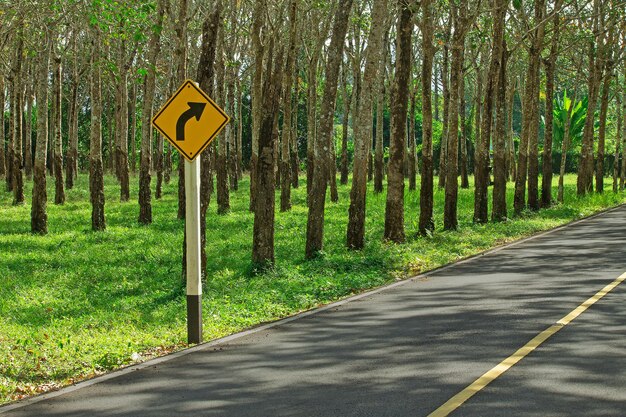 Signe routier par les arbres dans la forêt