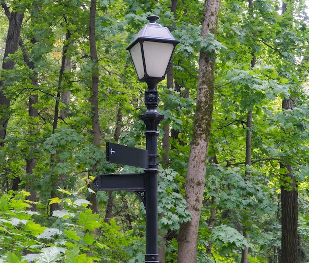 Un signe vide sur un lampadaire dans le parc à l'arrière-plan des arbres