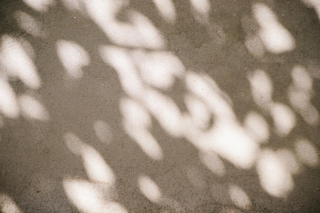 Silhouette abstraite de l'ombre des feuilles naturelles d'une branche d'arbre sur un mur de béton gris Photo atmosphérique lors d'une journée d'été ensoleillée