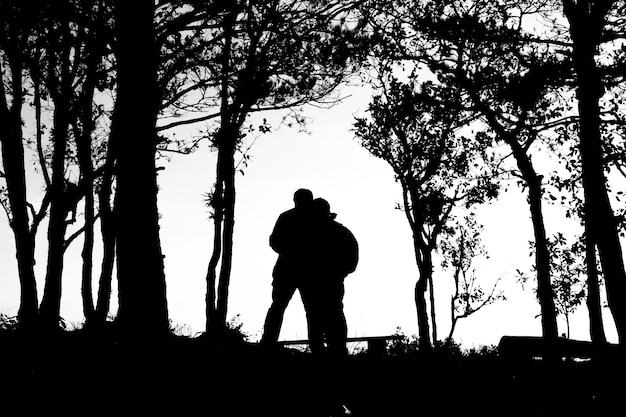 silhouette d&#39;amour couple dans les arbres bordure, dos et ton blanc