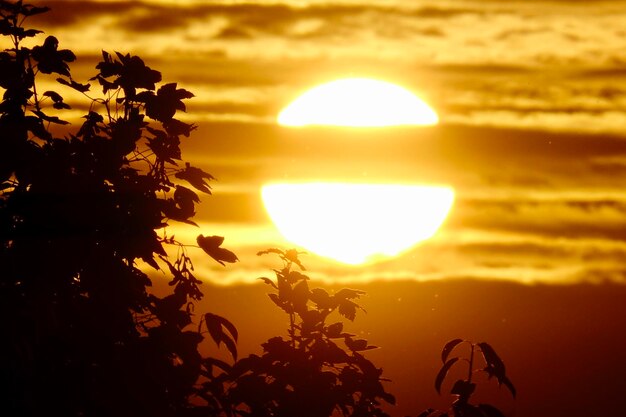 Photo silhouette d'arbre contre le ciel au coucher du soleil