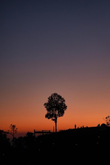 Silhouette arbre solitaire au sommet de la montagne avec camping le soir