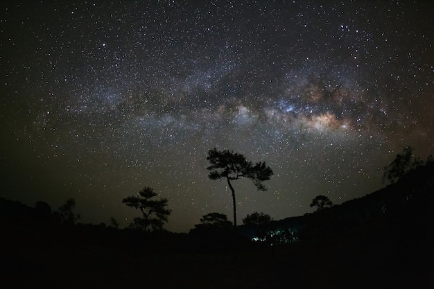 Silhouette d'arbre et voie lactée au parc national de Phu Hin Rong Kla Phitsanulok Thaïlande