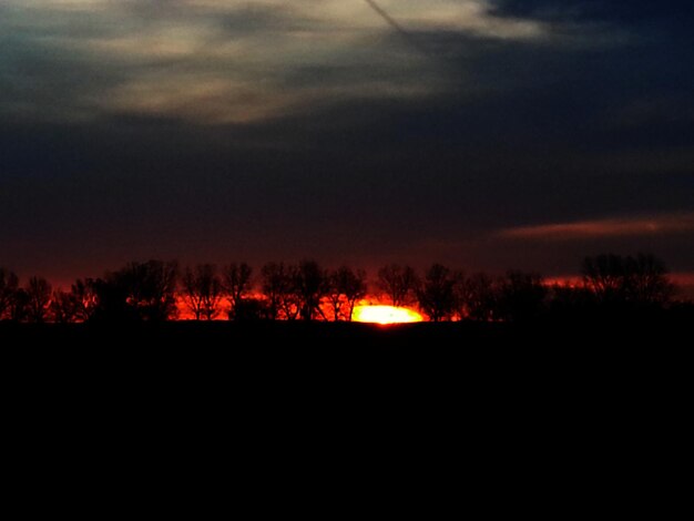 Photo silhouette d'arbres au coucher du soleil