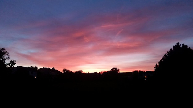 Photo silhouette d'arbres au coucher du soleil