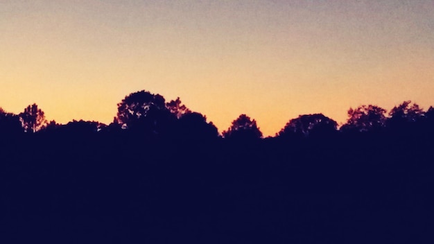Photo silhouette d'arbres au coucher du soleil